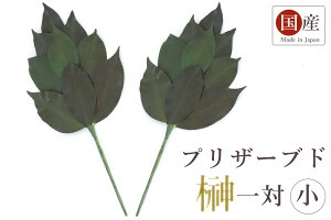 榊 造花ではない天然の葉 プリザーブド榊 一対 小 神棚用 神具 お供え 国産 神棚 神具 仏具 やまこう 山幸