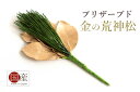 神具 金の荒神松 造花ではない天然の葉 プリザーブド荒神松 神棚用 お供え 国産 神棚 神具 仏具 盆提灯 やまこう 山幸