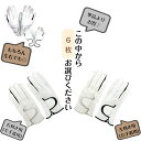メンズ 天然皮革 ゴルフグローブ 【送料無料】まとめ買い!!シルバー左手・右手 ホワイト/ブラック左手・右手21cm〜26cmから お好きな6枚をご購入ください...