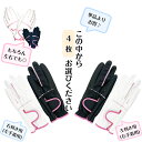 お得な 左右着用 まとめ買い!!【送料無料】レディース 合成皮革 ゴルフグローブ左手着用 右手着用WH/PINK BK/PINKS(18-19cm) M(20...