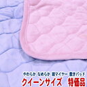 数量限定 在庫処分 オールシーズン 敷きパッド クイーンサイズ 西川 【B格】
