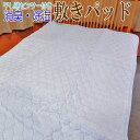 【値下げ 在庫セール】消臭 除湿 干し時センサー付き 敷きパッド シングルサイズ