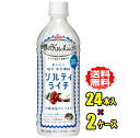 キリン 世界のKitchenから ソルティライチ 500mlPET×24本入×2ケース