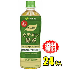 伊藤園 2つの働き カテキン緑茶 500mlPET×24本入