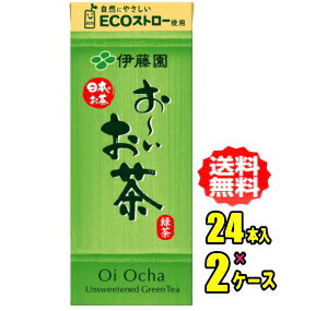 伊藤園 　お〜いお茶　緑茶　250ml紙パック×24本入×2ケース（おーいお茶緑茶）
