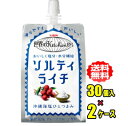 キリン 世界のKitchenから ソルティライチ 300gパウチ×30個入×2ケース