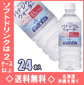 サッポロ　バナジウムウォーター　500mlPET　24本入【RCP】【HLS_DU】
