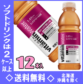 グラソー ビタミンウォーター t-ボディー　500mlPET　12本入【RCP】【HLS_DU】