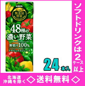 キリン 無添加野菜 48種の濃い野菜100%　200ml紙パック　24本入