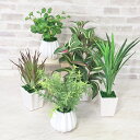 造花 インテリア インテリアグリーンミニポット5点アソートセット 観葉植物 フェイクグリーン インテリアグリーン CT触媒 光触媒 シルクフラワー mgr