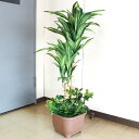 造花 インテリア 観葉植物 ドラセナツリー 110cm フェイクグリーン インテリアグリーン CT触媒 光触媒 snb bgr