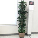 造花 インテリア 観葉植物 大型 ヘゴ付スプリットフィロー 180cm TW914 人工観葉植物 フェイクグリーン インテリアグリーン CT触媒 光触媒 snb...