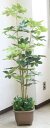 造花 インテリア 観葉植物 大型 カポックツリー 150cm フェイクグリーン インテリアグリーン TB938 DG 人工観葉植物 snb CT触媒 光触媒 b...