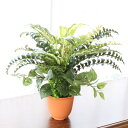 造花 インテリア 観葉植物 ディフェンバキアアソートの鉢植え 45cm フェイクグリーン CT触媒 光触媒 mgr