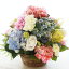造花 カラフルなあじさいとくちなしの花のかごアレンジ あじさい アジサイ 造花 シルクフラワー CT触媒