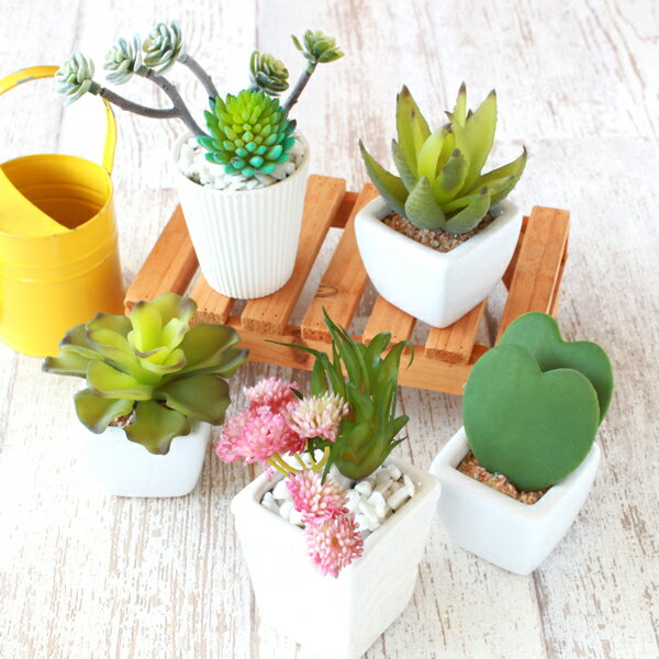 造花 インテリア 陶器に入った多肉植物5個セット 観葉植物 シルクフラワー ミニグリーン 多肉植物 ハートホヤ エケベリア エアプランツ CT触媒 光触媒 フェイクグリーン mgrのサムネイル