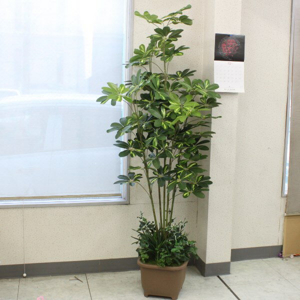 造花 インテリア 人工観葉植物 大型 カポックツリー 180cm TB938 フェイクグリーン インテリアグリーン CT触媒 光触媒 snb シルクフラワー bgr