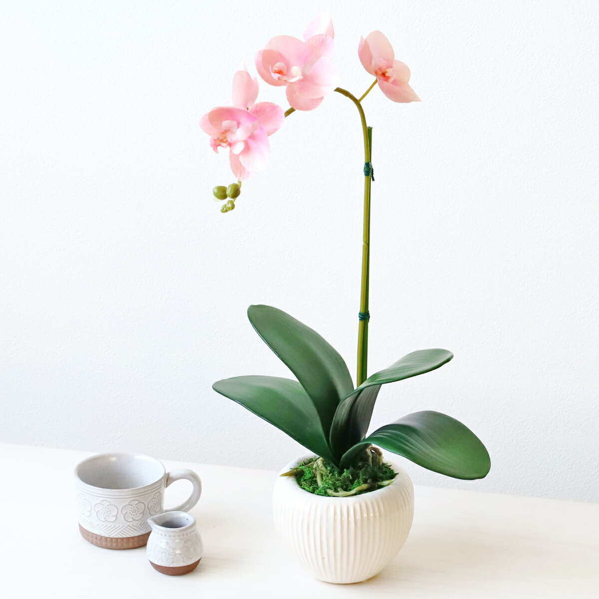乐天商城 - 造花 ミニ胡蝶蘭の鉢植え 1本立 シルクフラワー らん 梅春物 CT触媒 光触媒 フラワーアレンジ インテリア フラワーアレンジメント arg