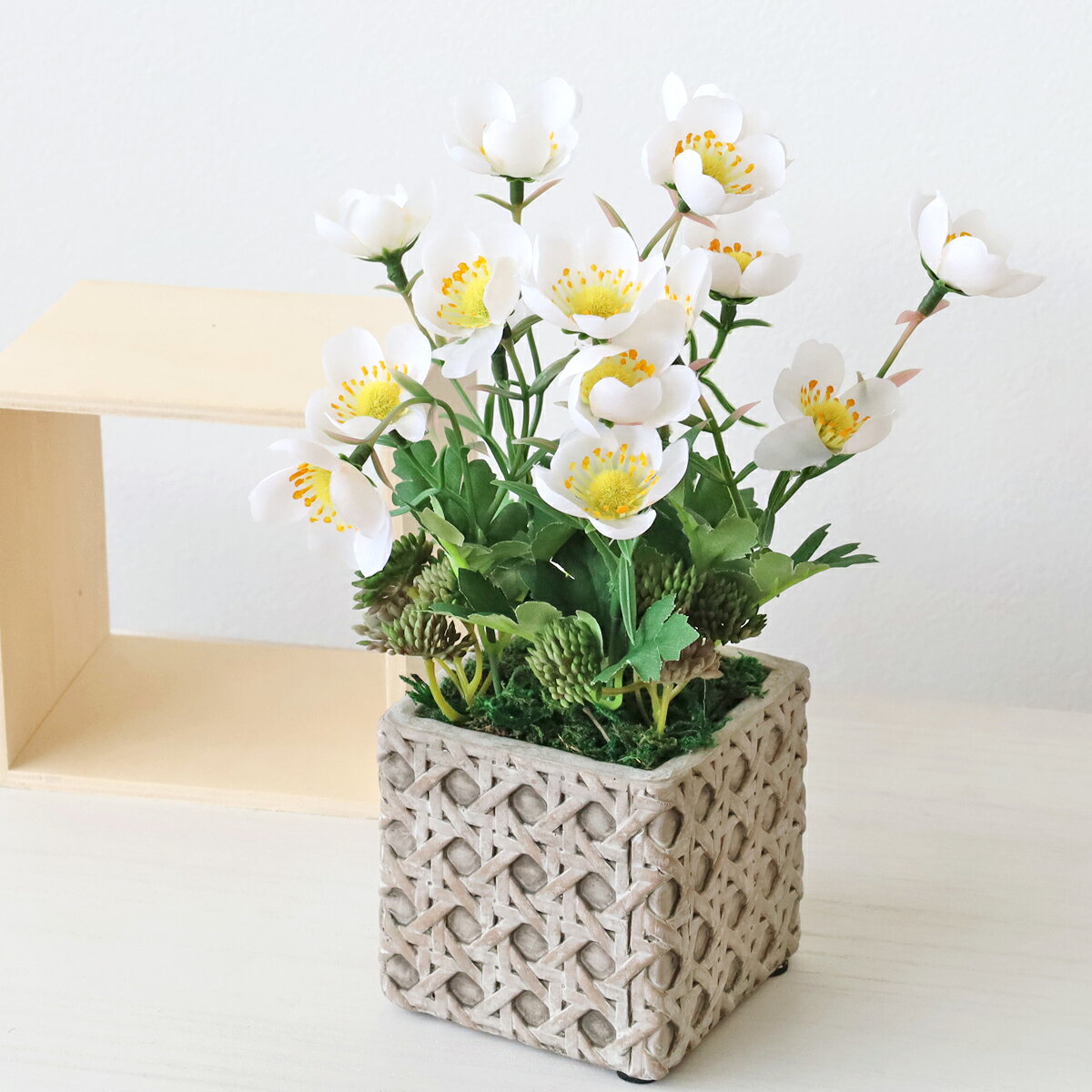 乐天商城 - 造花 チングルマのアレンジ 夏 高山植物 シルクフラワー CT触媒 光触媒 フラワーアレンジ インテリア フラワーアレンジメント arg
