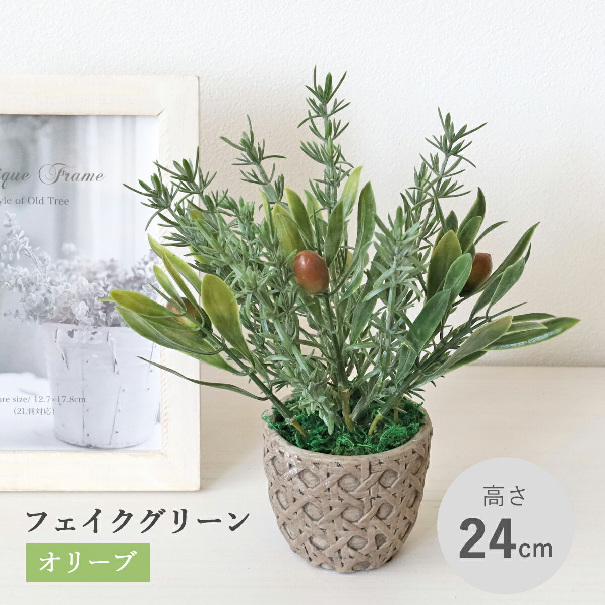 造花 観葉植物 フェイク オリーブとローズマリーの鉢植え リアル 卓上 小さめ インテリア フェイクグリーン インテリアグリーン CT触媒 光触媒 mgr