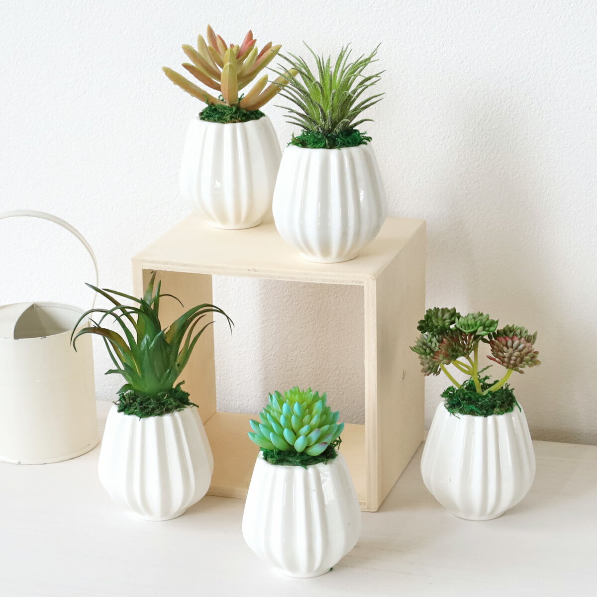Other - 造花 観葉植物 フェイク ミニセダム5点アソートセット リアル 卓上 多肉植物 フェイクグリーン インテリア インテリアグリーン CT触媒 光触媒 シルクフラワー mgr