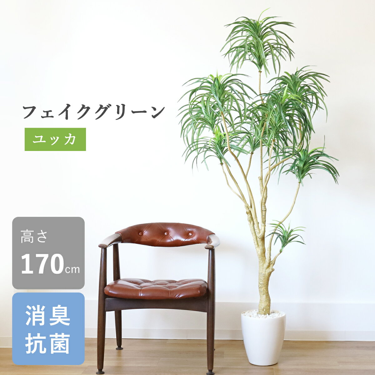 楽天市場】ユッカ 170cmの通販