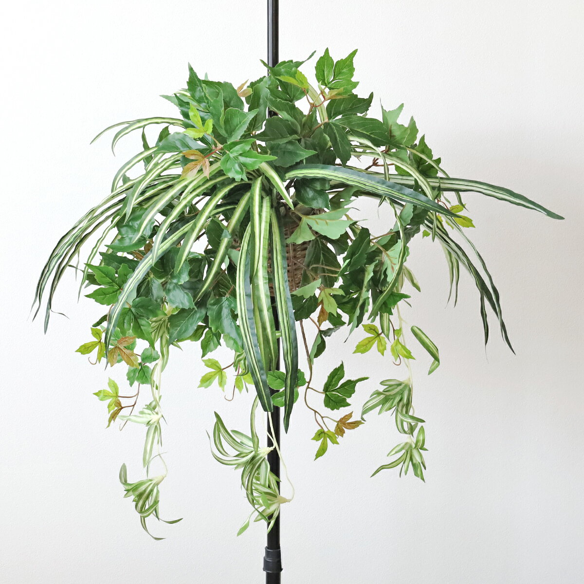 Yellow, Orange - 造花 インテリア 観葉植物 オリヅルランとアイビーの壁掛け フェイクグリーン CT触媒 光触媒 シルクフラワー アレンジ フラワーアレンジ フラワーアレンジメント mgr
