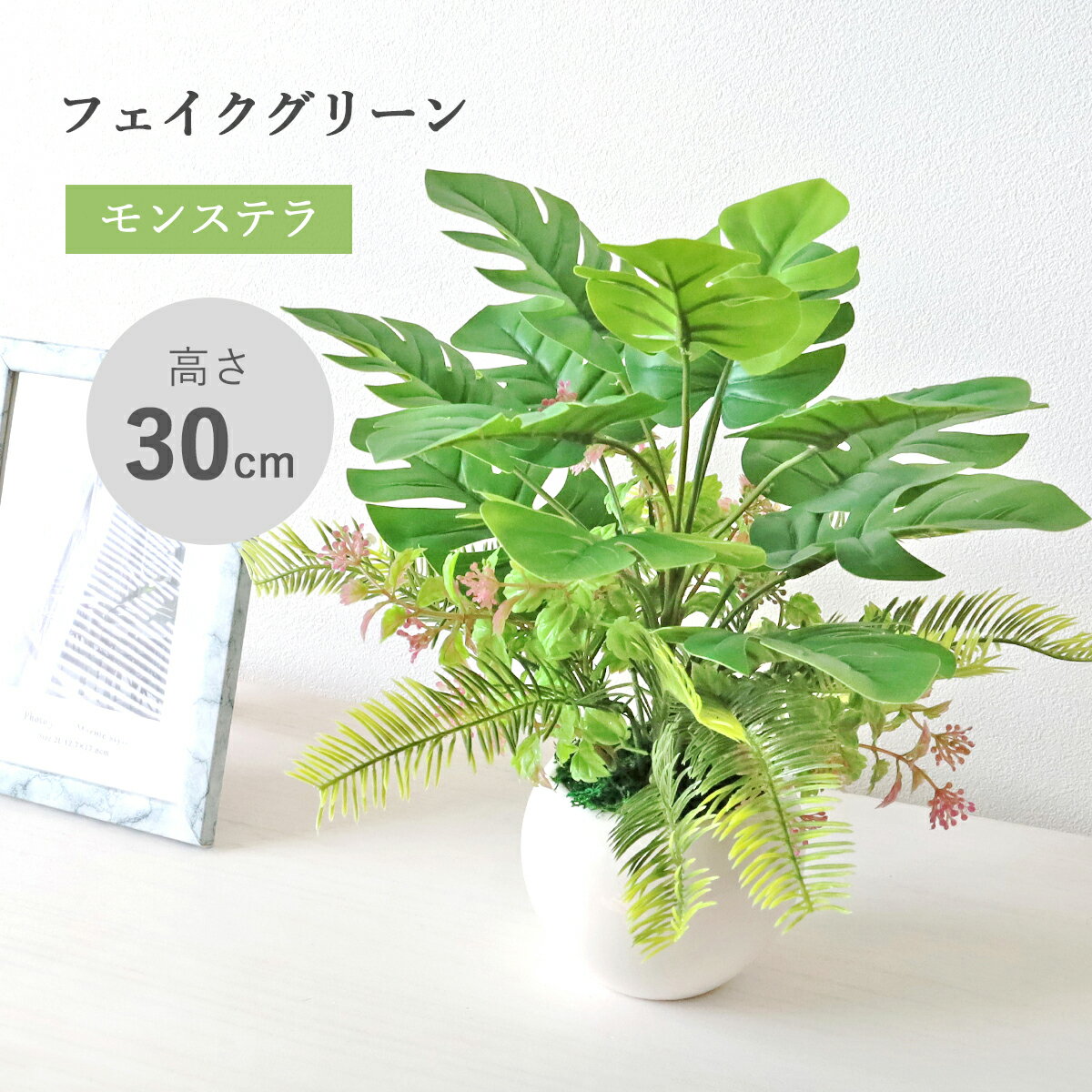 乐天商城 - 造花 観葉植物 フェイク 小ぶりなモンステラの南国風な鉢植え 30cm リアル 卓上 小さめ インテリア フェイクグリーン インテリアグリーン CT触媒 光触媒 mgr
