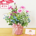 母の日遅れてごめんね 造花 カーネーション ギフト カーネーションとかすみ草のアレンジ 花 枯れない花 プレゼント メッセージカード ピンク 2025 CT触媒...