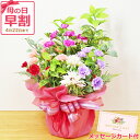 【早割 5%OFF】 母の日 カーネーション 造花 ミルカーネーションの鉢植えアレンジ 花 枯れない花 ギフト プレゼント メッセージカード お祝い 日付指定可...