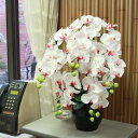 胡蝶蘭 造花 常滑産陶製鉢に入った気品あふれる胡蝶蘭の鉢植え 5本立ち CT触媒 光触媒 新築祝い 開店祝い 開院祝い お中元 お歳暮 年末年始 ギフト プレゼント お祝い 母の日 父の日 【あす楽対応】