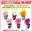 yamakyu:10008388のサンプル画像3