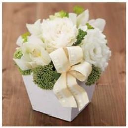 �����ܥ� SU�Х˥� ��25mm��25m �磻�䡼����ܥ� £�� ���ե� �ץ쥼��� ��åԥ����� ��« ����󥸥��� ���� ¤�� ����
