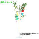 yamakyu:10014460のサンプル画像3