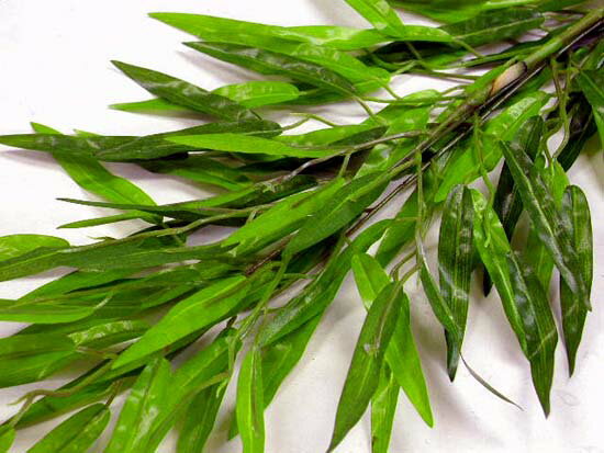 単品七夕さまに！お盆に！笹のスプレー大（シルクフラワーk14695）