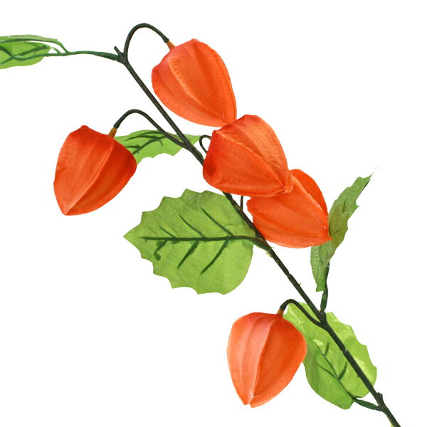 造花 ほおずき 実5ヶ 4526 スプレー 単品 鬼灯 ホオズキ シルクフラワー CT触媒 光触媒 tanのサムネイル