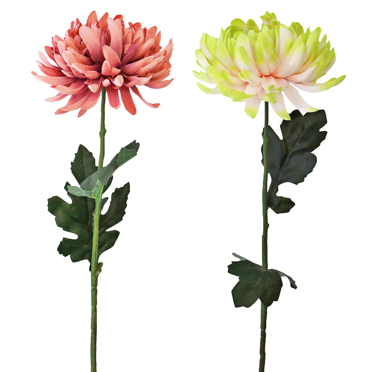 かわいらしい大和菊のスプレーです。 ＊タイプA(パープル)またはタイプB(グリーンピンク)からお選びください。 シルクフラワーなので美しいまま長期間飾ることができ、水遣りも不要で、季節を問わず翌年以降もお使いいただけます。サイズ：約長さ60cm・花径約10cm※花器は付属しておりません＊商品の仕様は変更になる場合がございます ＊茎部分のカットも承ります。ご注文時にご希望の長さを備考欄へご記入ください。 　（サイズや材質、形状によってカット出来ない場合もございます。予めご了承下さい） シルクフラワーとは、シルクの様な光沢のある生地を用いて作られ、 生花のような花びらのグラデーション・葉や茎の樹皮や節までリアルを追求した高品質な人工的な花のことをいいます。 他にも、一般的な造花を指すアートフラワーと呼ばれることもあります。 また、近年では呼び名が統一され、生花の代わりとなる人口的な花のことを全てまとめてアーティフィシャルフラワーと呼ばれる様になりました。 シルクフラワーのグレードアップアイテム♪ お部屋の防臭・防汚抗菌作用も CT触媒リキッド200mlボトル 初めての方専用是非お試しください お任せグリーンアレンジ 1本でアレンジ約1つ分お試しサイズ50ml CT触媒リキッド50mlボトル