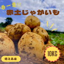 新じゃがいも 10kg 鹿児島県徳之島 送料無料 ジャガイモ 赤土じゃがいも じゃがいも 馬鈴薯 ばれいしょ 国産 南国 ニシユタカ 野菜 カレー シチュー 煮物 ギフト おすすめ商品 迫田興産 2L L M 予約 ポテト バーベキュー 奄美