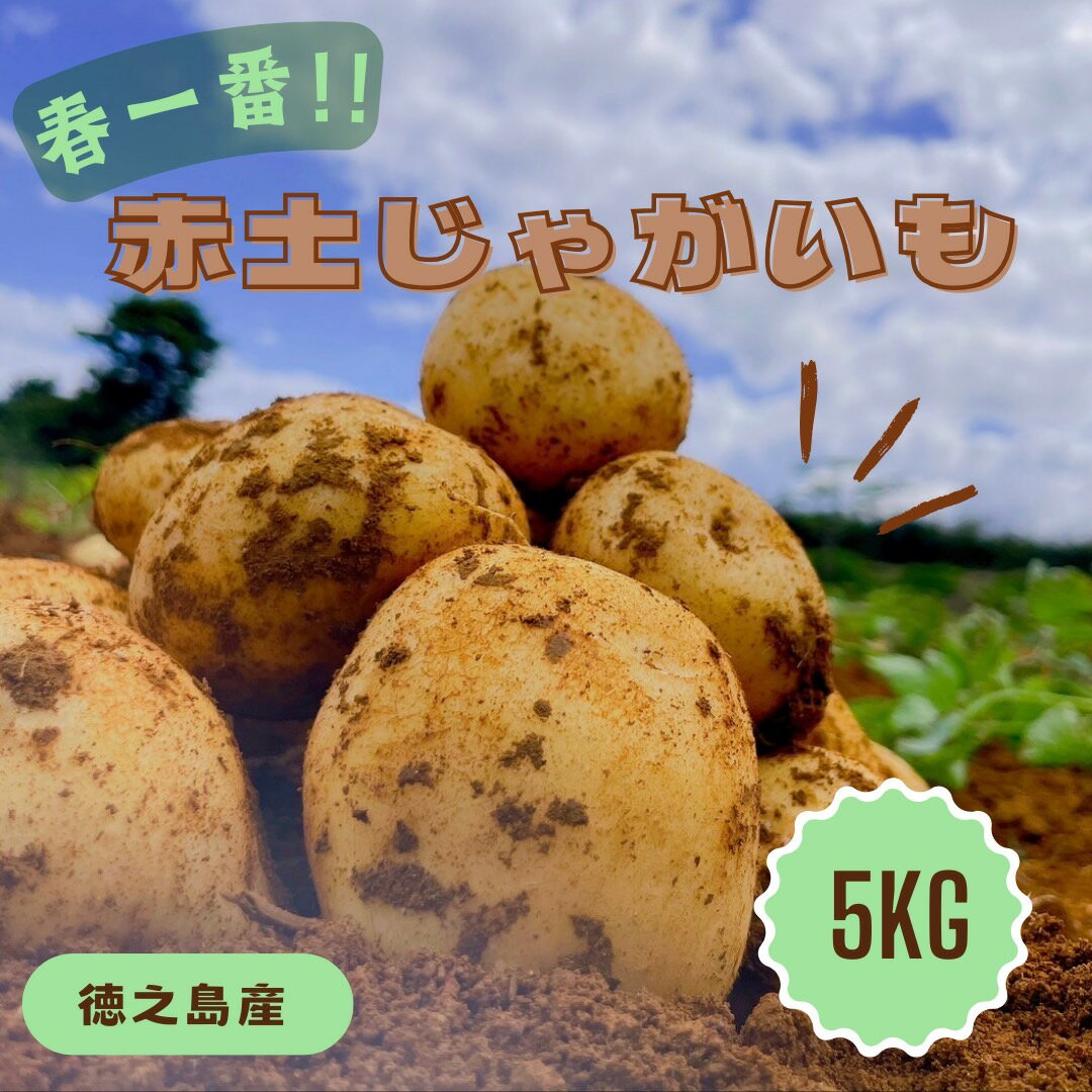 新じゃがいも 5kg 鹿児島県徳之島 送料無料 ジャガイモ 赤土じゃがいも じゃがいも 馬鈴薯 ばれいしょ 国産 南国 ニシユタカ 野菜 カレー シチュー 煮物 ギフト おすすめ商品 迫田興産 2L L M 予約 ポテト バーベキュー 奄美