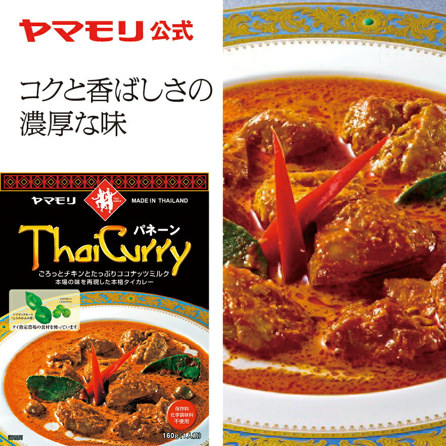 ヤマモリ タイカレー パネーン（1個）レトルトカレー カレー パネーンカレー パネーン スパイスカレー レトルト食品 スープカレー 常温保存 非常食 タイフード カレーセット 電子レンジ対応 あす楽 父の日