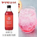 業務用 炭酸割り専用ビネガー FRUIT VINEGAR ザクロ 12倍希釈（1本）500ml ｜ 飲むお酢 砂糖無添加 強炭酸 炭酸用 お酢ドリンク 低糖質 糖質制限 糖質オフ りんご酢 ザクロ 希釈用 大容量 あす楽 新生活 母の日