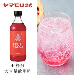 【ポイント10倍 :12/30 0:00~1/3 23:59 】業務用サイズ 炭酸割り専用ビネガー FRUIT VINEGAR ザクロ　12倍希釈（1本）500ml ｜ 飲むお酢 大容量 砂糖無添加 強炭酸 炭酸用 お酢ドリンク 低糖質 糖質制限 糖質オフ 飲むお酢 りんご酢 ザクロ 希釈用 あす楽 飲む酢 SALE