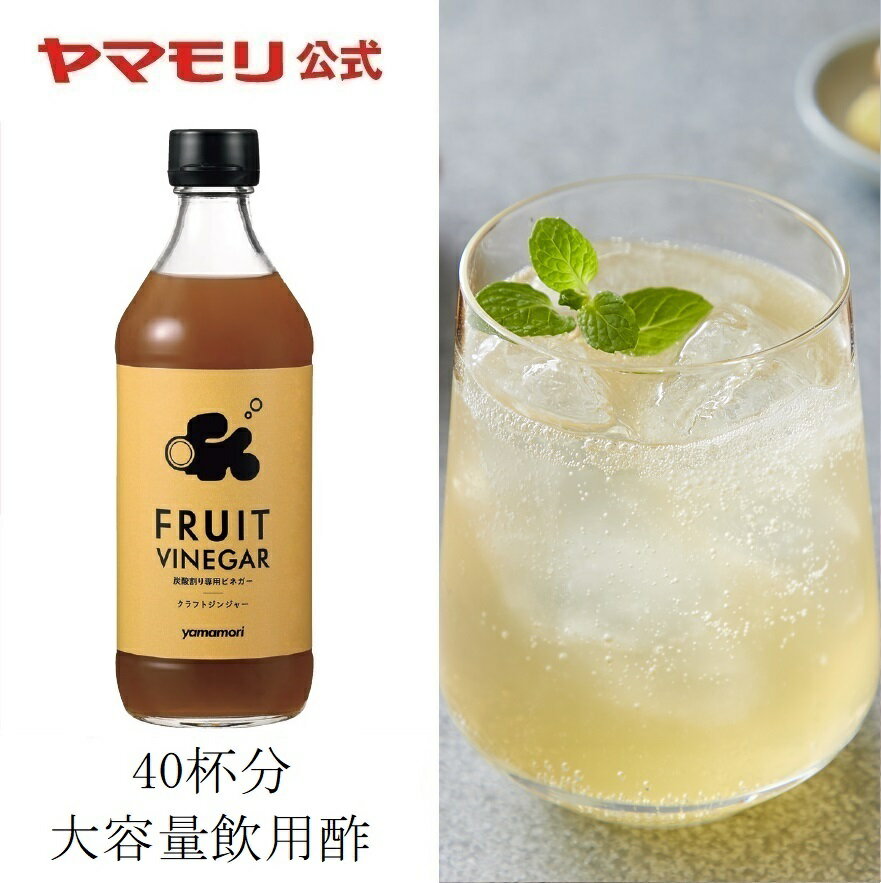 業務用サイズ 炭酸割り専用ビネガー FRUIT VINEGAR クラフトジンジャー　12倍希釈（1本）500ml ｜ 飲むお酢 砂糖無添加 強炭酸 お酢ドリンク 低糖質 糖質オフ りんご酢 ジンジャー...