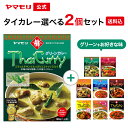   ヤマモリ 公式 タイカレー グリーン × 選べるフレーバー (2個セット) | レトルトカレー カレー グリーンカレー ぽっきり 辛口 常温保存 電子レンジ対応 Po10 タイ料理 母の日