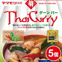 【2月20日新発売】 ヤマモリ タイカレー ゲーンパー（5個）レトルトカレー カレー レトルト食品 辛口 激辛 スープカレー ゲーン タイフード タイカレー 常温保存 非常食 電子レンジ対応 あす楽 タイ料理 2024年 新商品 母の日