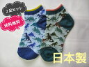 【ヤマモトソックス】 日本製 2足セット 送料無料 子供 靴下 キッズ 男の子 子供用靴下 恐竜柄スニーカーソックス16〜18cm、19〜22cm