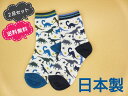 【ヤマモトソックス】 日本製 2足セット 送料無料 子供 靴下 キッズ 男の子 子供用靴下 恐竜柄クルーソックス16~18cm、19~22cm