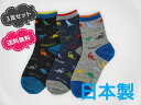 【ヤマモトソックス】 日本製 3足セット 送料無料 子供 靴下 キッズ 男の子 子供用靴下 恐竜柄クルーソックス16〜18cm、19〜22cm