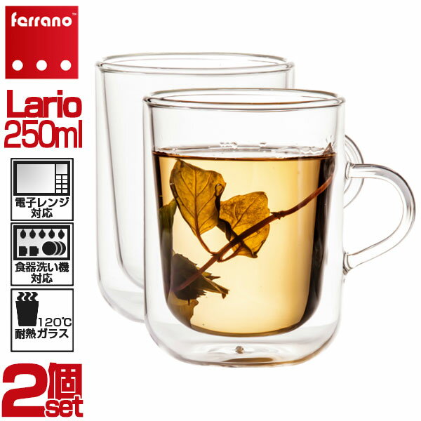 Ferrano(フェラーノ) G-Lar-250 ダブルウォールグラス Lario(ラリオ) 250ml(2個セット)