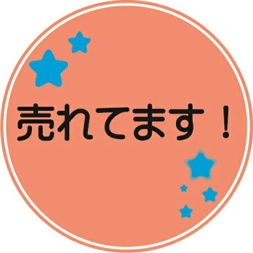 【送料無料】ステンレスフライパンカバー24〜26cm　SF-26（代引き不可）